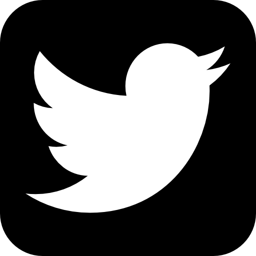 twitter image